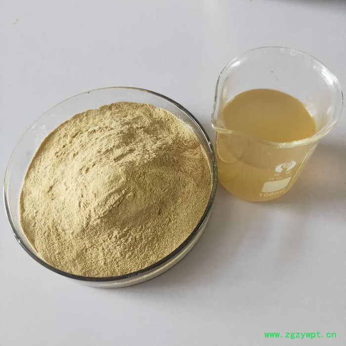 玉竹粉97% 玉竹提取物药食同源  玉竹多糖30%价格  冲调食品图3