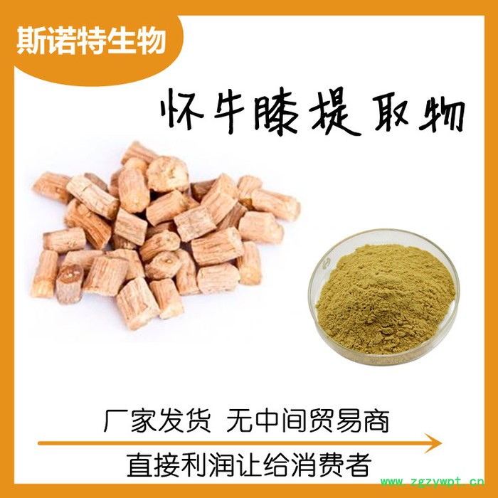 厂家发货 川芎提取物 水溶原料 浓缩川芎浸膏粉图4