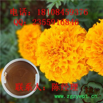 川芎提取物  厂家-湖北远成赛创科技有限公司 川芎提取物 151010-492图3