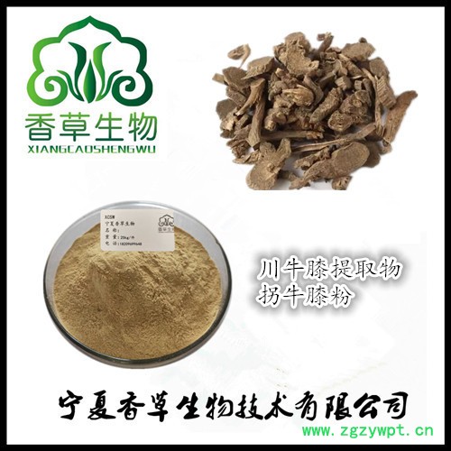 川牛膝提取物16:1 香草生物供应川牛膝粉原料粉  牛膝流浸膏现做图3