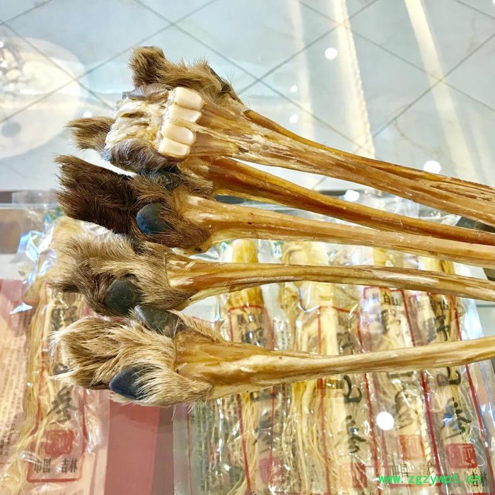 牛膝**汤鹿蹄子****图2