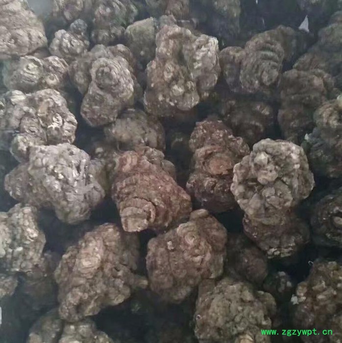 川芎种植技术种植效益图3