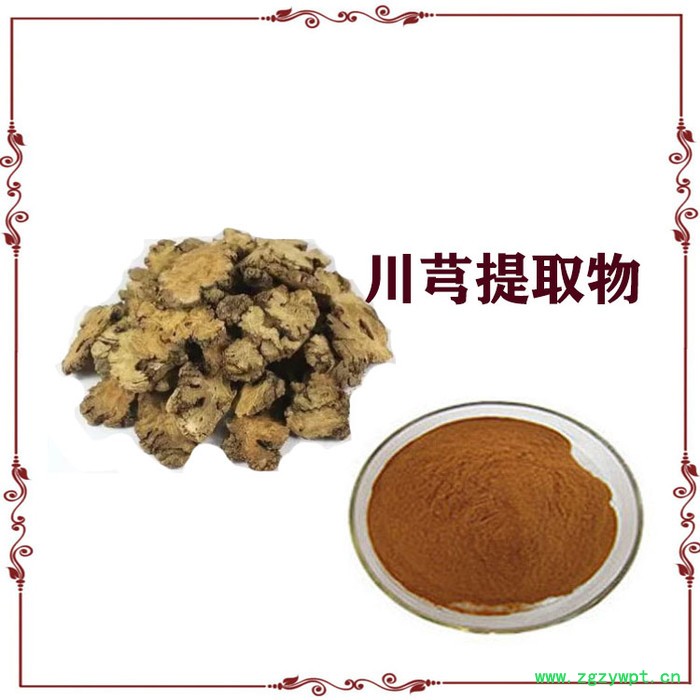 川芎提取物 10:1    川芎粉  水溶性图2