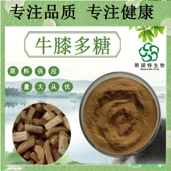 牛膝多糖 50% 牛膝粉 牛膝多糖原料粉 怀牛膝提取物图5