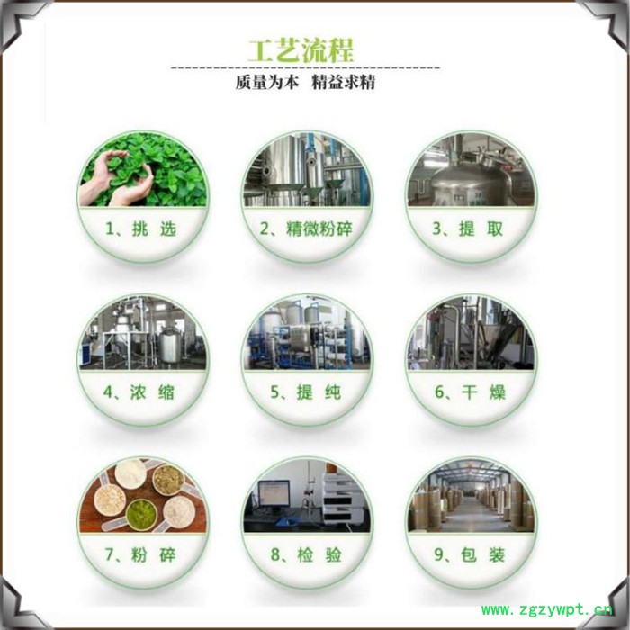 斯诺特 川芎提取物 10：:1 水溶性好  厂家供应  浓缩粉 浸膏粉图2