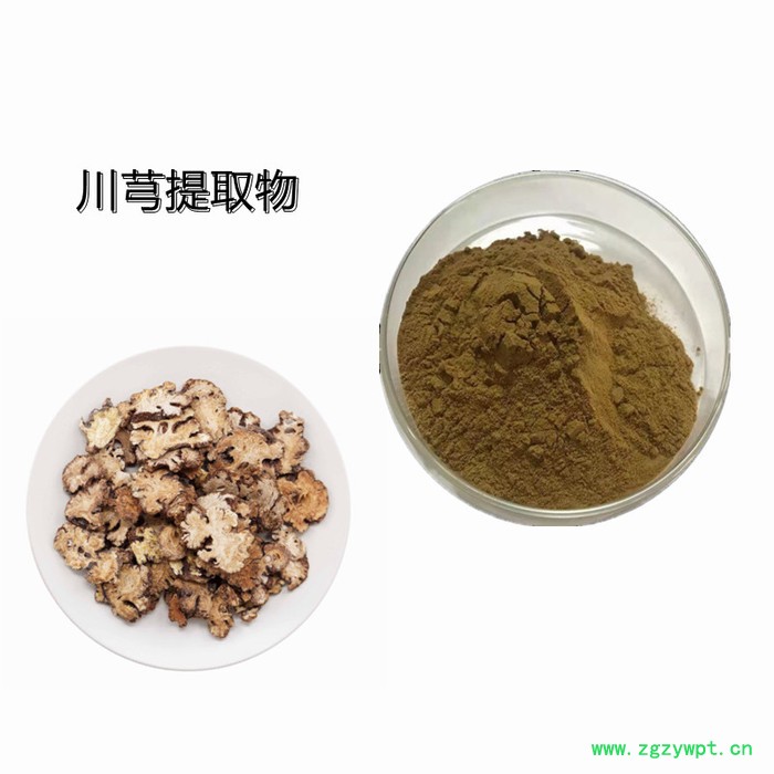 斯诺特 川芎提取物 10：:1 水溶性好  厂家供应  浓缩粉 浸膏粉图4