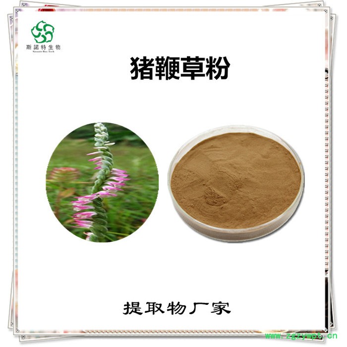 牛膝速溶粉 牛膝浓缩粉 植物提取物 斯诺特图4