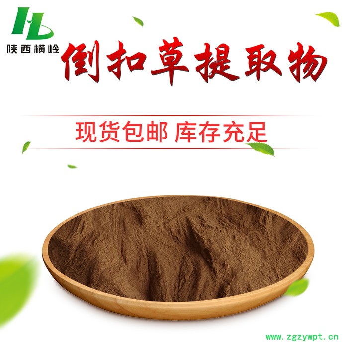 倒扣草提取物 粗毛牛膝、土牛膝、倒扣草全草提取物 倒扣草速溶粉图3