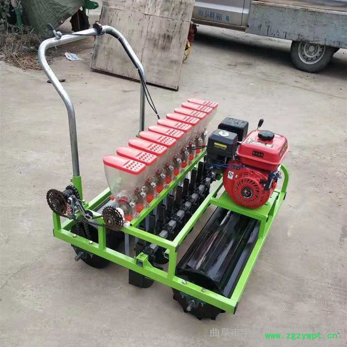 黄牛膝汽油播种机 小颗粒蔬菜播种机精密播种机图6