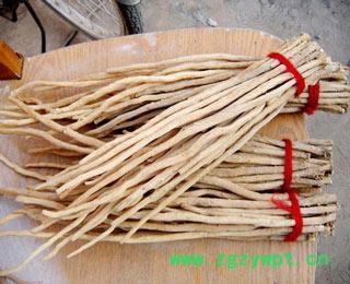 供应地宝中药材**牛膝特级怀牛膝牛膝价格**牛膝批发