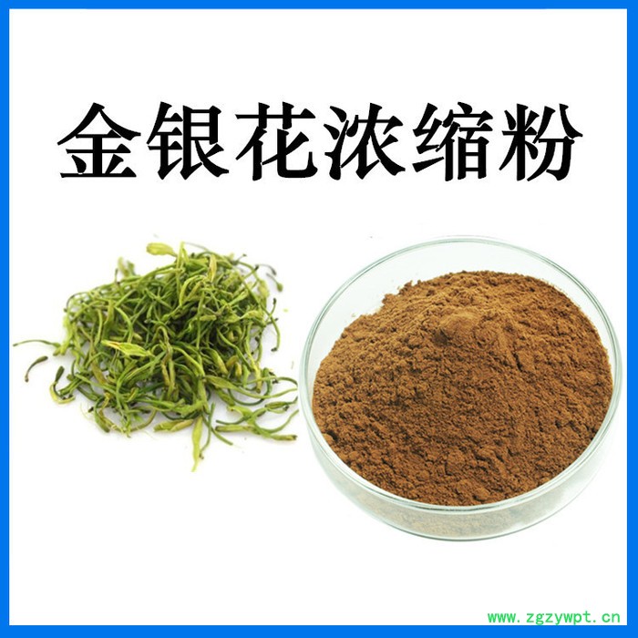 斯诺特生物 龙胆草提取物 龙胆苦甙 萃取原料粉 水溶好图2