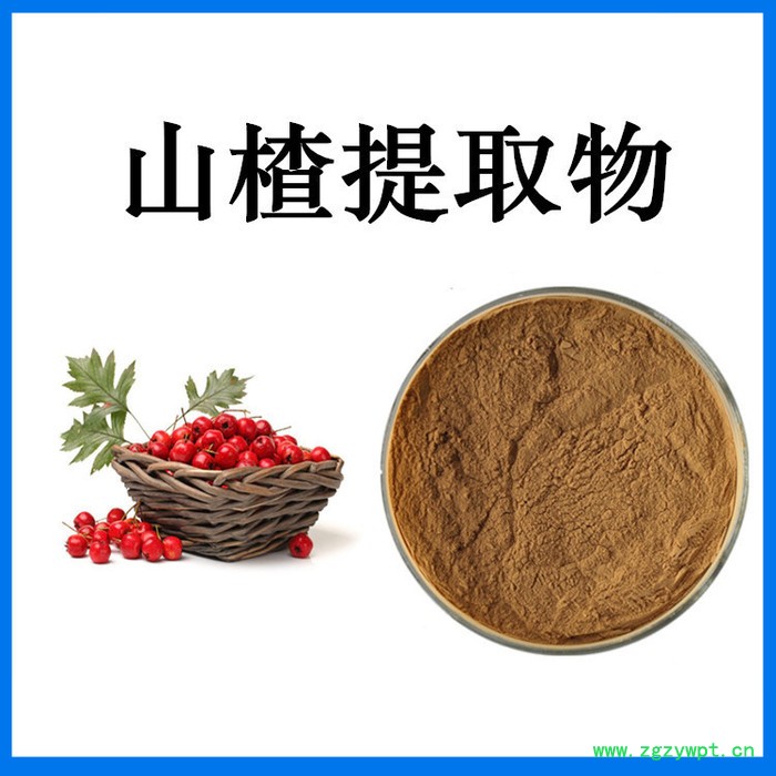 斯诺特生物 龙胆草提取物 龙胆苦甙 萃取原料粉 水溶好图8