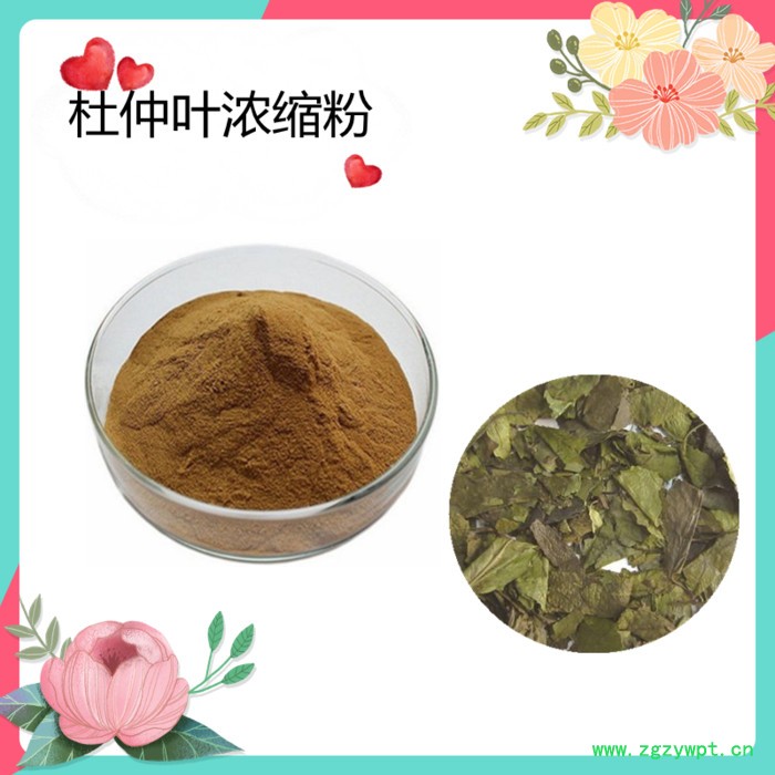 川牛膝浓缩粉   水溶   可定制   斯诺特生物图4