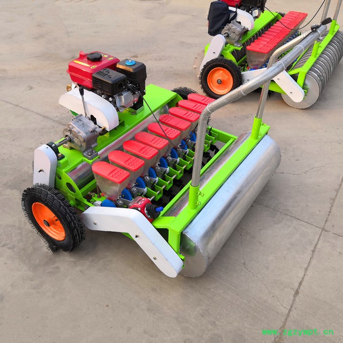 冠发 包菜播种机 蔬菜精播机 **滚筒元胡药材收获机图7