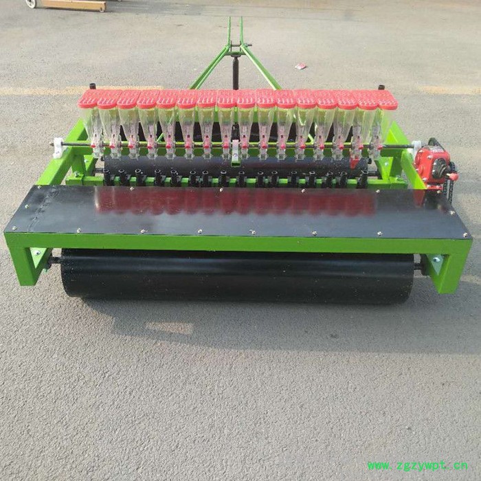牛膝湘潭白萝卜种植机蔬菜播种机 白萝卜播种机**图2