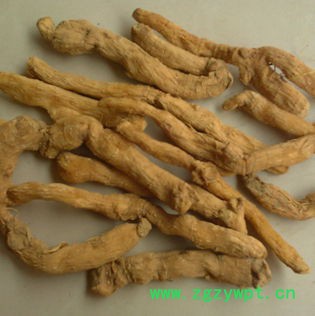 玉竹选个 供应玉竹 玉竹产地 玉竹厂家 玉竹批发 玉竹价格 供应 玉竹**玉竹图4