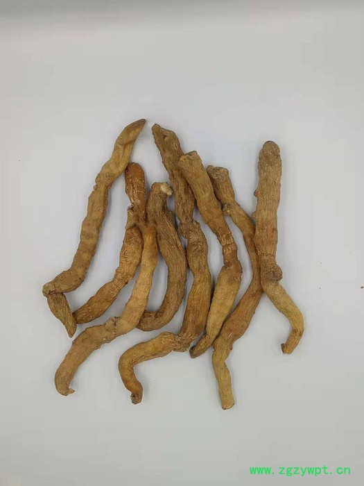 玉竹选个 供应玉竹 玉竹产地 玉竹厂家 玉竹批发 玉竹价格 供应 玉竹**玉竹图3