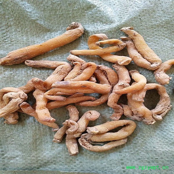 供应玉竹透明统个供应玉竹透明统个 湖南玉竹生产厂图3