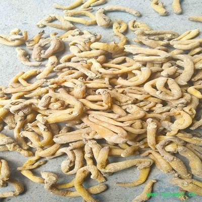 供应玉竹透明统个供应玉竹透明统个 湖南玉竹生产厂