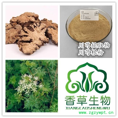 川芎提取物30:1  全水溶性川芎浸膏粉 川芎浓缩粉高比例浓缩图3