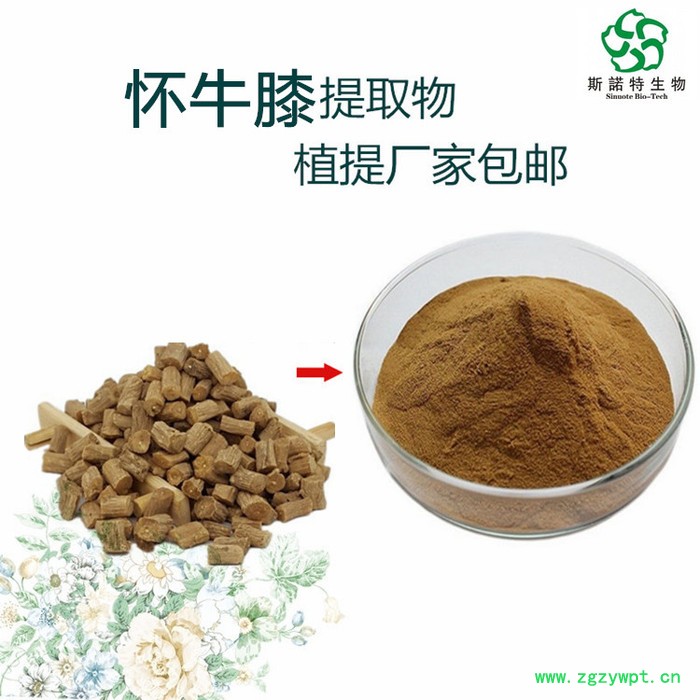 斯诺特生物  怀牛膝提取物  怀牛膝皂甙  厂家供应图6