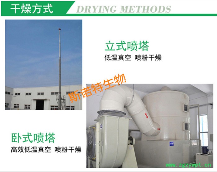 斯诺特生物  怀牛膝提取物  怀牛膝皂甙  厂家供应图5