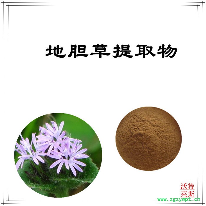 沃特莱斯 龙胆草提取物10:1  速溶地胆草粉图2