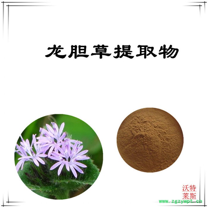 沃特莱斯 龙胆草提取物10:1  速溶地胆草粉图3