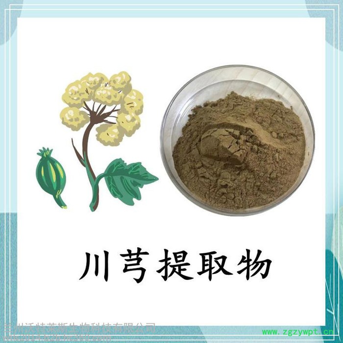 沃特莱斯 川芎提取物 10:1 川芎粉  川芎浸膏图5