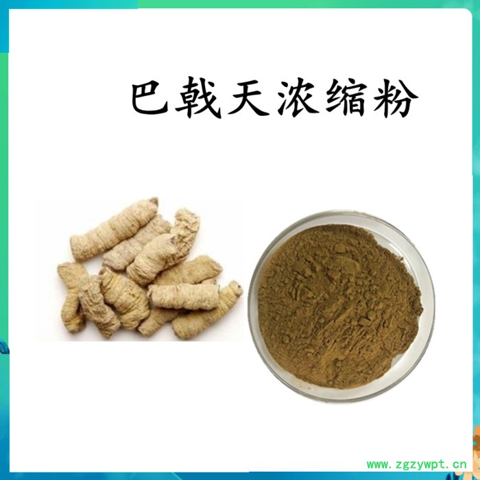 扶风斯诺特  川芎破壁粉 川芎粉  水溶图3