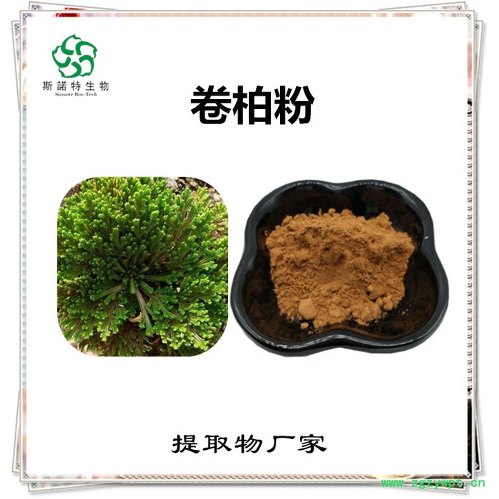 怀牛膝速溶粉 怀牛膝浓缩粉 植物提取物 斯诺特图4