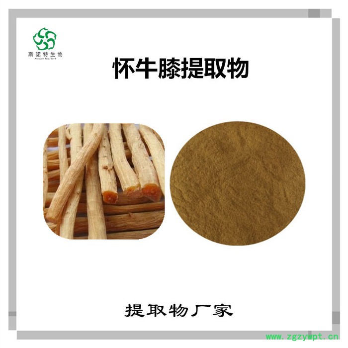 怀牛膝速溶粉 怀牛膝浓缩粉 植物提取物 斯诺特图6
