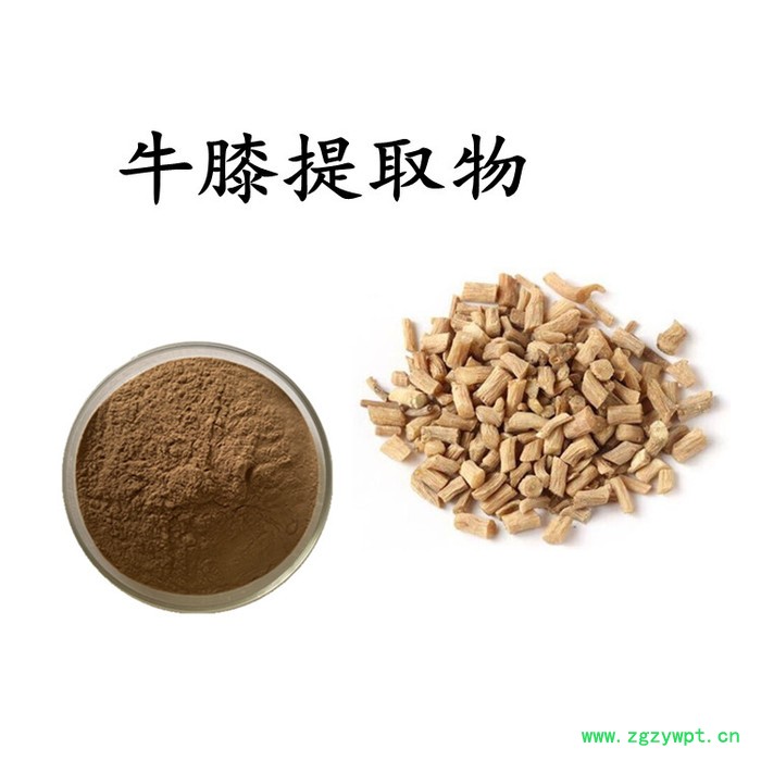 牛膝提取物 牛膝浸膏粉  水溶 可定制图3