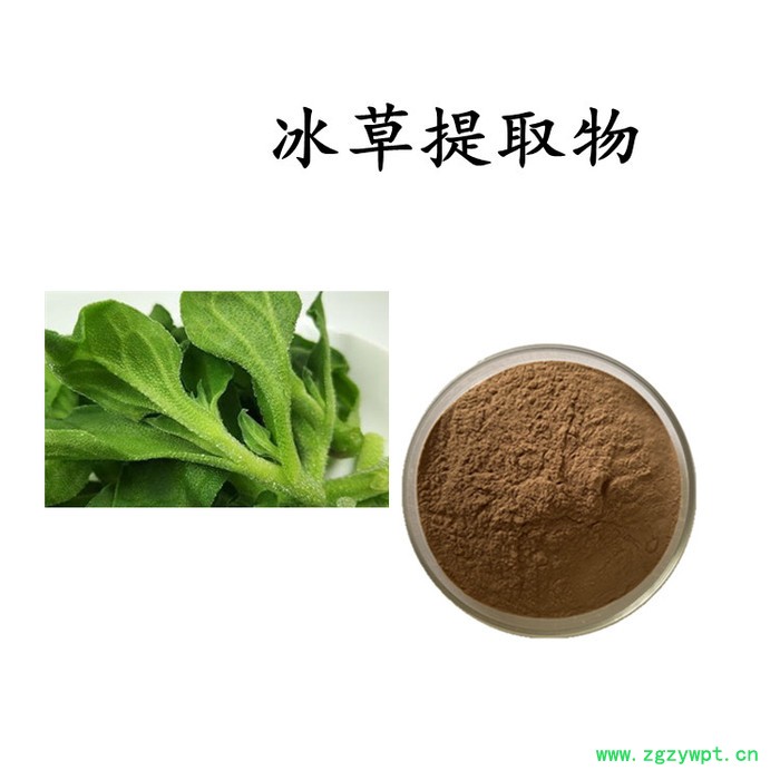 牛膝提取物 牛膝浸膏粉  水溶 可定制图2