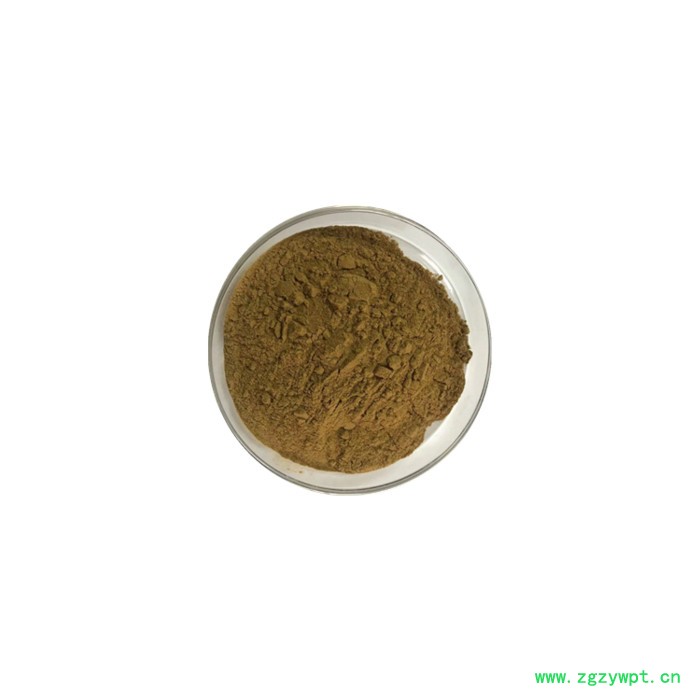 怀牛膝提取物 怀牛膝浸膏粉  可定制 水溶 99%图3