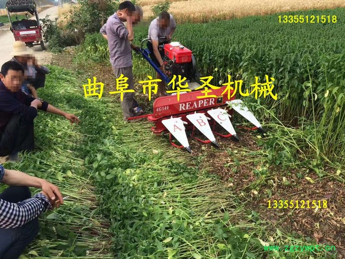 手扶牛膝收割机 小型割晒机 牧草收割机图2