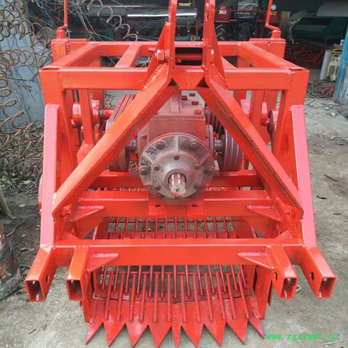 根茎作物高产量丹参 元胡药材掘收获机 药材收获机图5