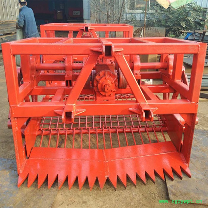 根茎作物高产量丹参 元胡药材掘收获机 药材收获机图8