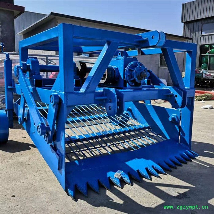 河北川芎收获机辣根黄芪药材收获机新型丹参收获机图2