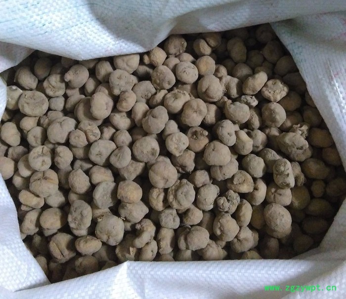 供应磐安源头产地中药材元胡种子延胡索种苗玄胡种苗全程免费技术指导产品包回收图2