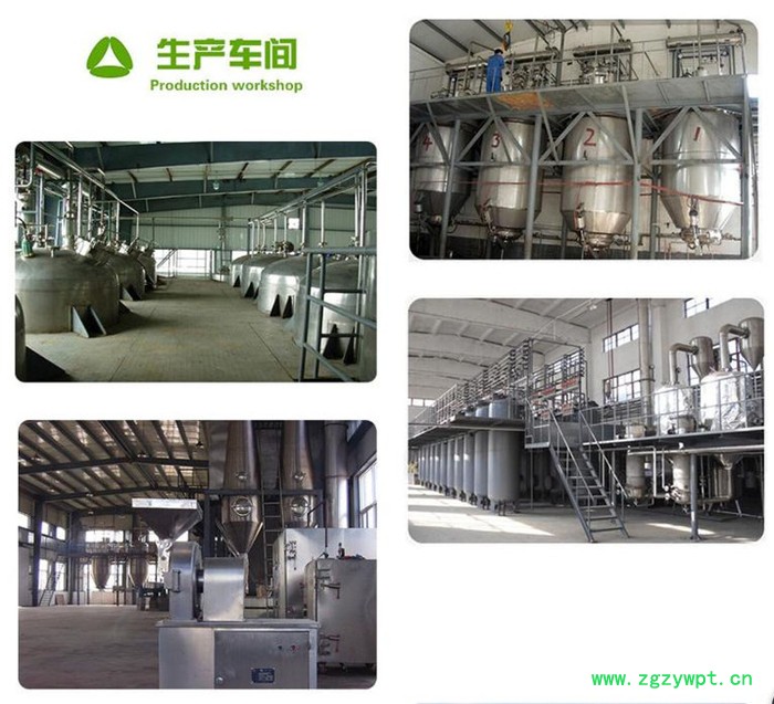 玉竹浸膏粉  黄酮  玉竹速溶粉  玉竹提取物  可定制生产图3