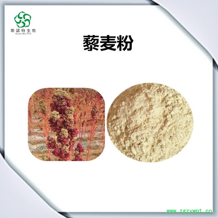 斯诺特 怀牛膝喷雾干燥粉 怀牛膝浸膏粉 水溶性原材料图3