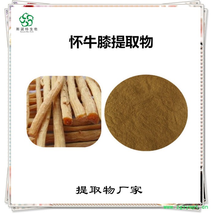 斯诺特 怀牛膝喷雾干燥粉 怀牛膝浸膏粉 水溶性原材料图7