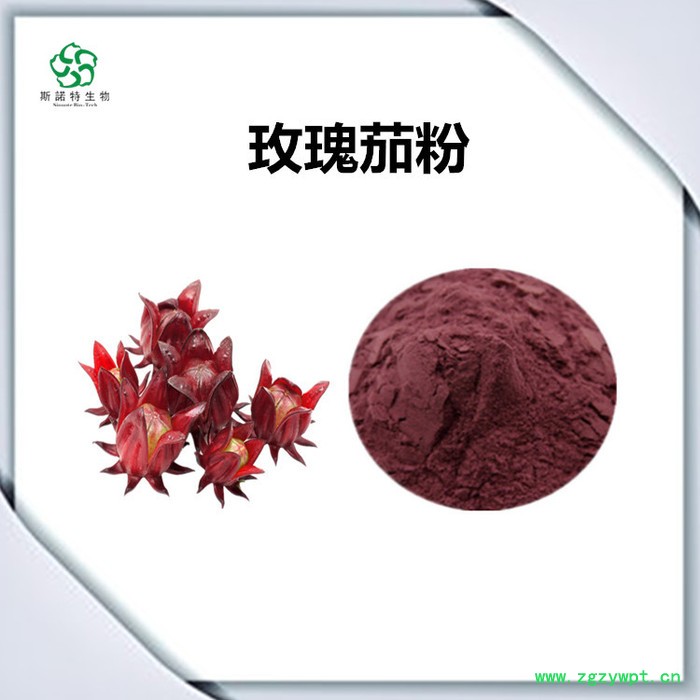 斯诺特 怀牛膝喷雾干燥粉 怀牛膝浸膏粉 水溶性原材料图4