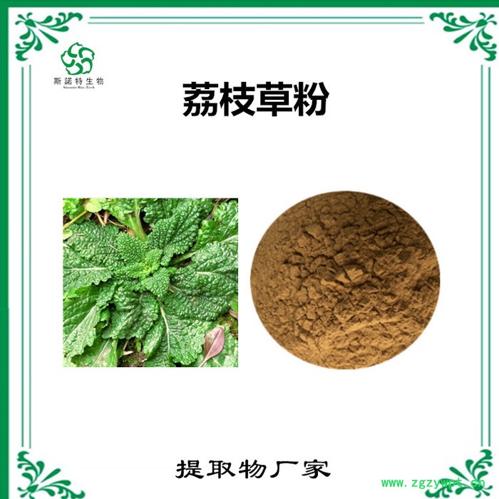 斯诺特 怀牛膝喷雾干燥粉 怀牛膝浸膏粉 水溶性原材料图2