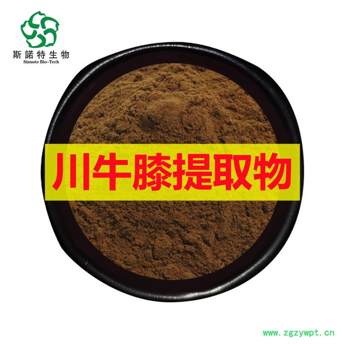 川牛膝提取物 10:1现货批发 牛膝提取物 多规格可定制图2