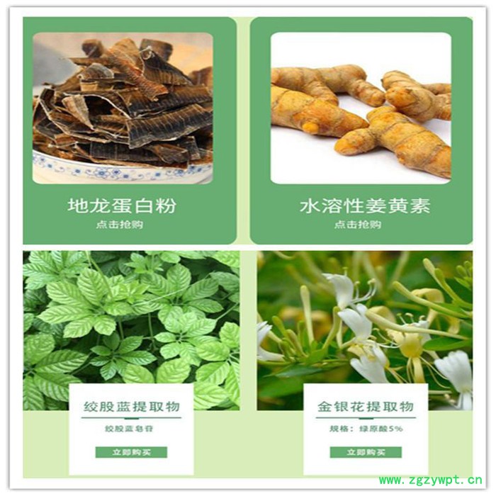 川牛膝提取物 10:1现货批发 牛膝提取物 多规格可定制图4