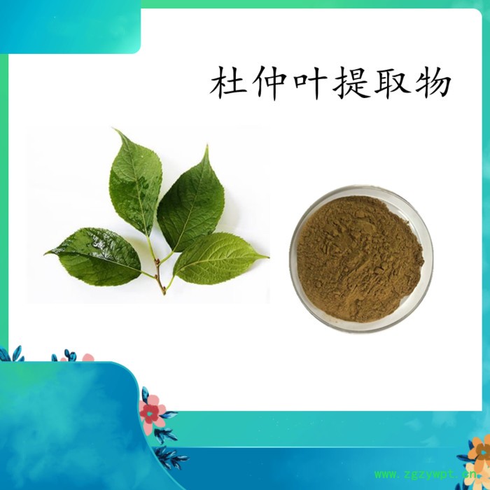 扶风斯诺特  川牛膝破壁粉  水溶 可定制图4