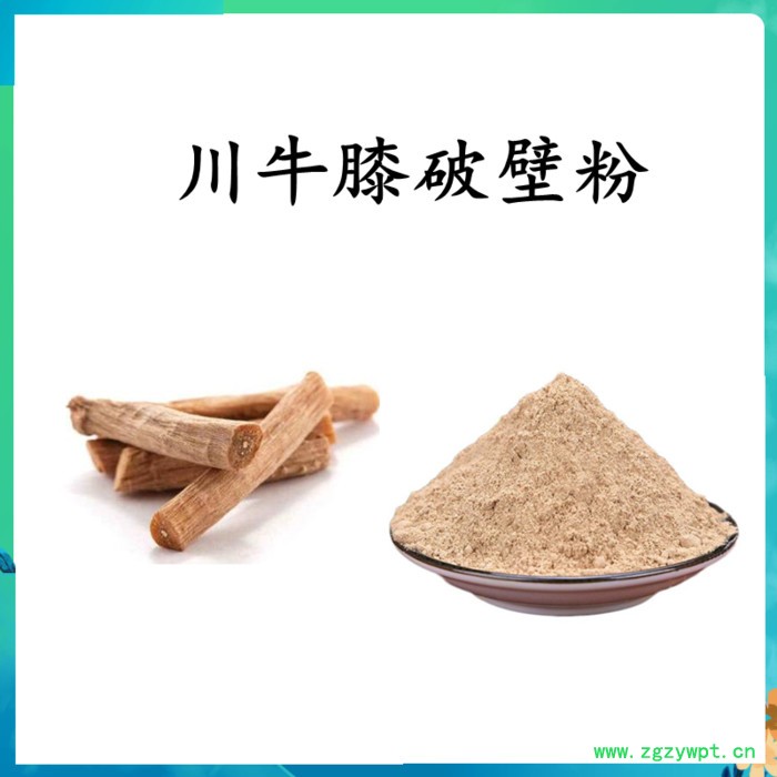 扶风斯诺特  川牛膝破壁粉  水溶 可定制图3