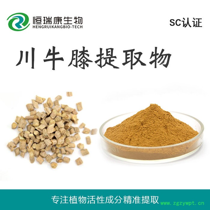 恒瑞康SC工厂直销 川牛膝提取物 水溶川牛膝粉 1KG起批 现货图5